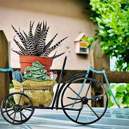 Far West Hotel จิโนซา ภายนอก รูปภาพ